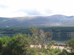 Image on trail
